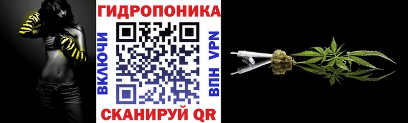 Где продают наркотики Саров Канабис Псилоцибиновые грибы Alpha PVP ГАШ Меф мяу мяу