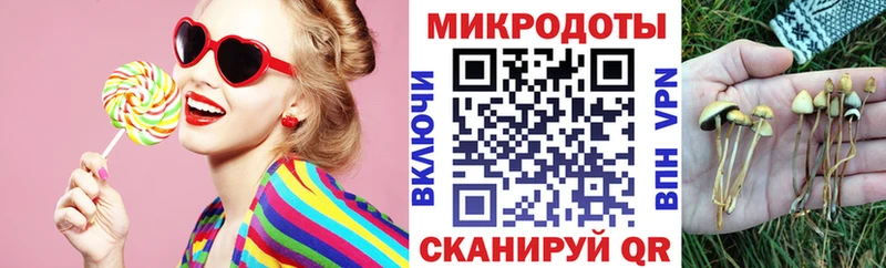 магазин продажи   Саров  Галлюциногенные грибы мицелий 